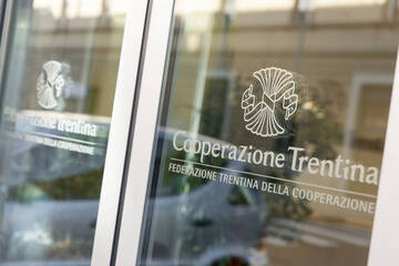 Gestire l'emergenza. I servizi della Federazione per le cooperative associate