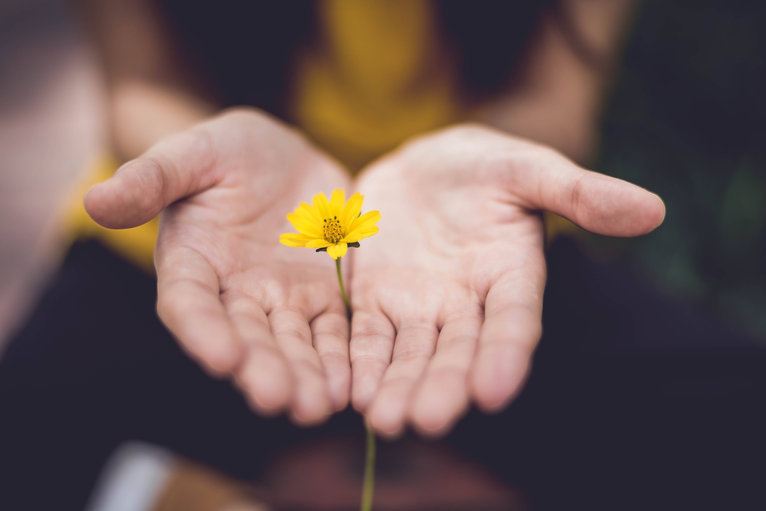 Immagine: lina-trochez-ktPKyUs3Qjs-unsplash