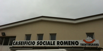 Vendita prodotti caseari